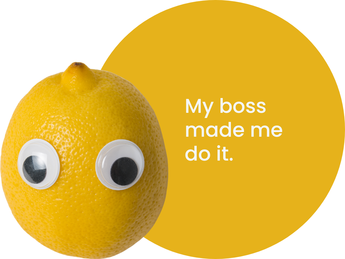 Marketing bootcamp lemon wth googly eyes and caption 'My Boss Made Me Do It'