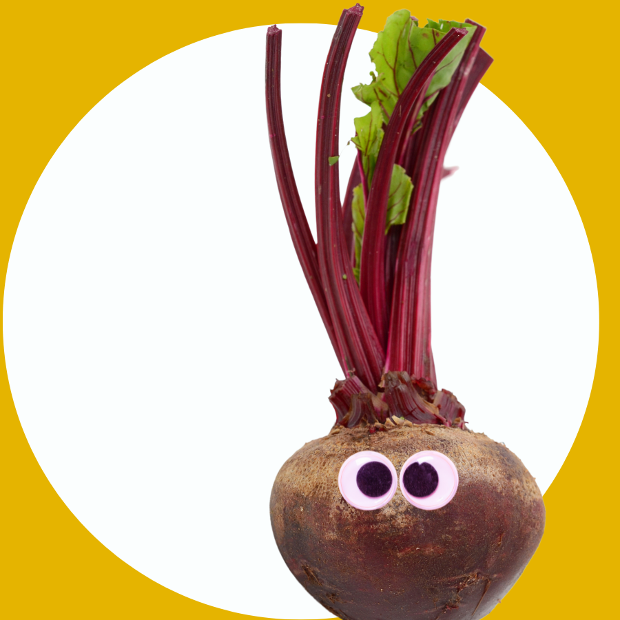 Marketing bootcamp, whole beetroot with stalk attached and googly eyes 