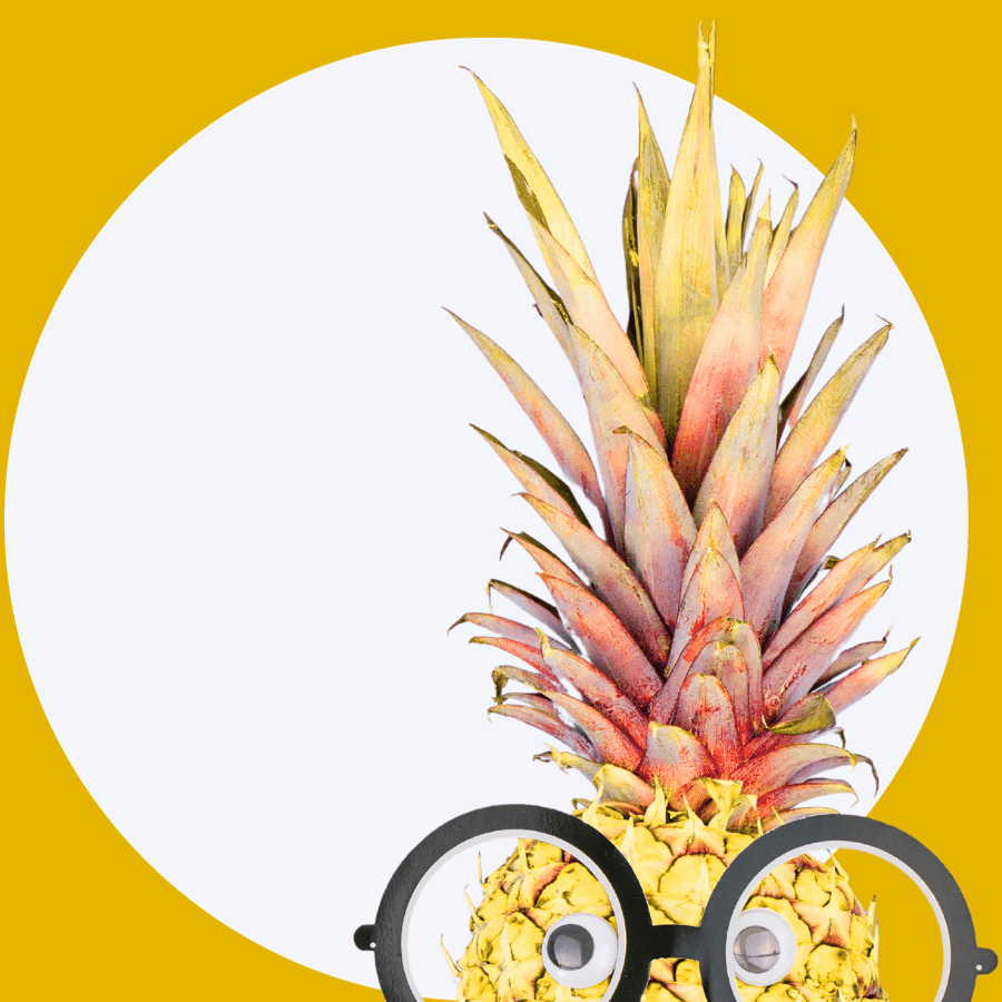 Accidental Marketer pineapple with google eyes and glasses
