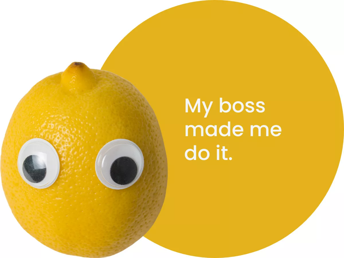 Bootcamp-My-Boss-Made-Me-Do-It